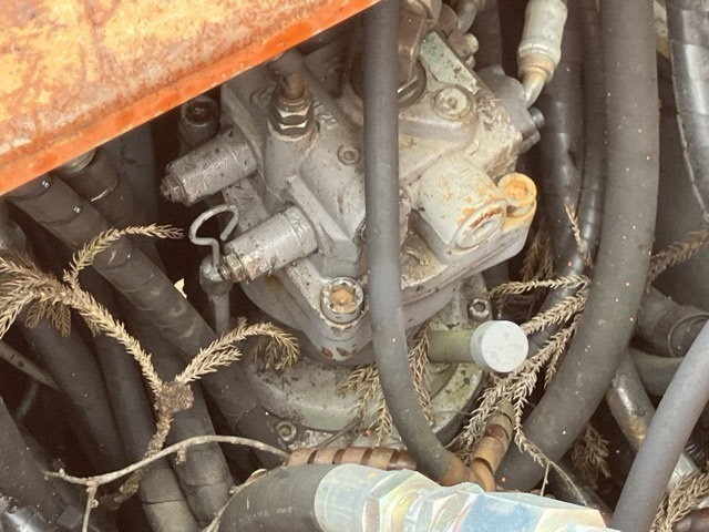 o1600146.JPG